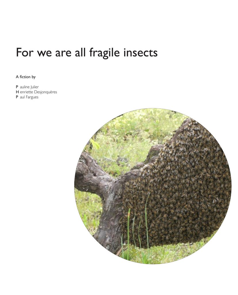 For we are all Fragile Insects 