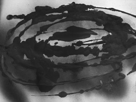 The Incommensurable Cat